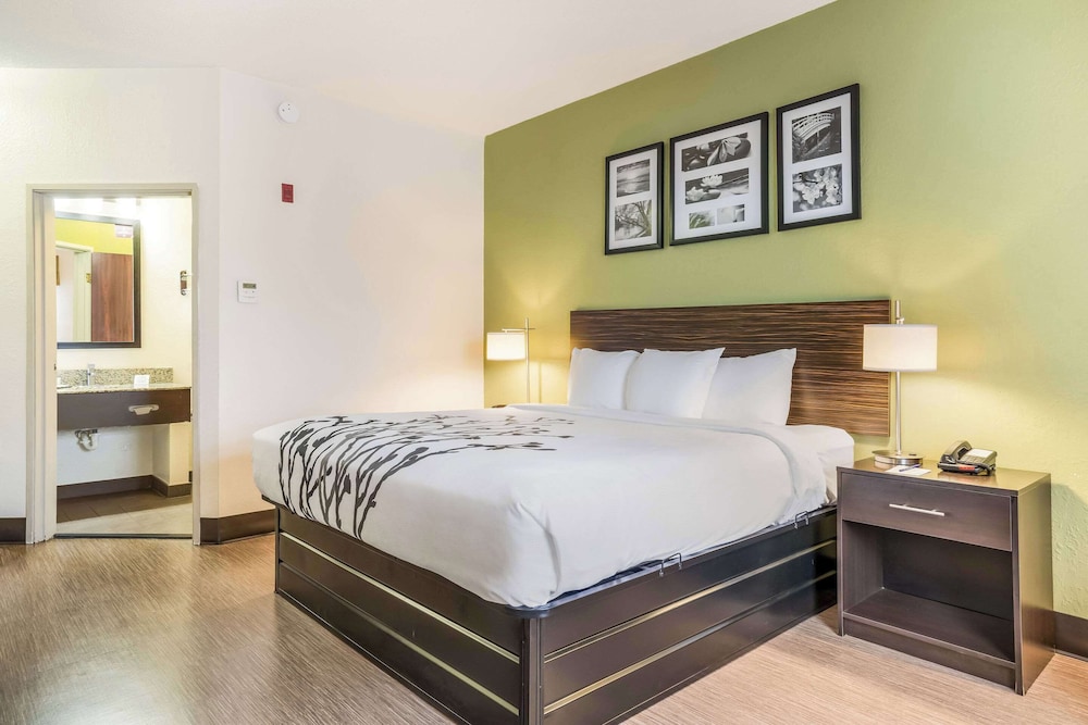 Standard Room, 1 King Bed, Non Smoking - Photo 2