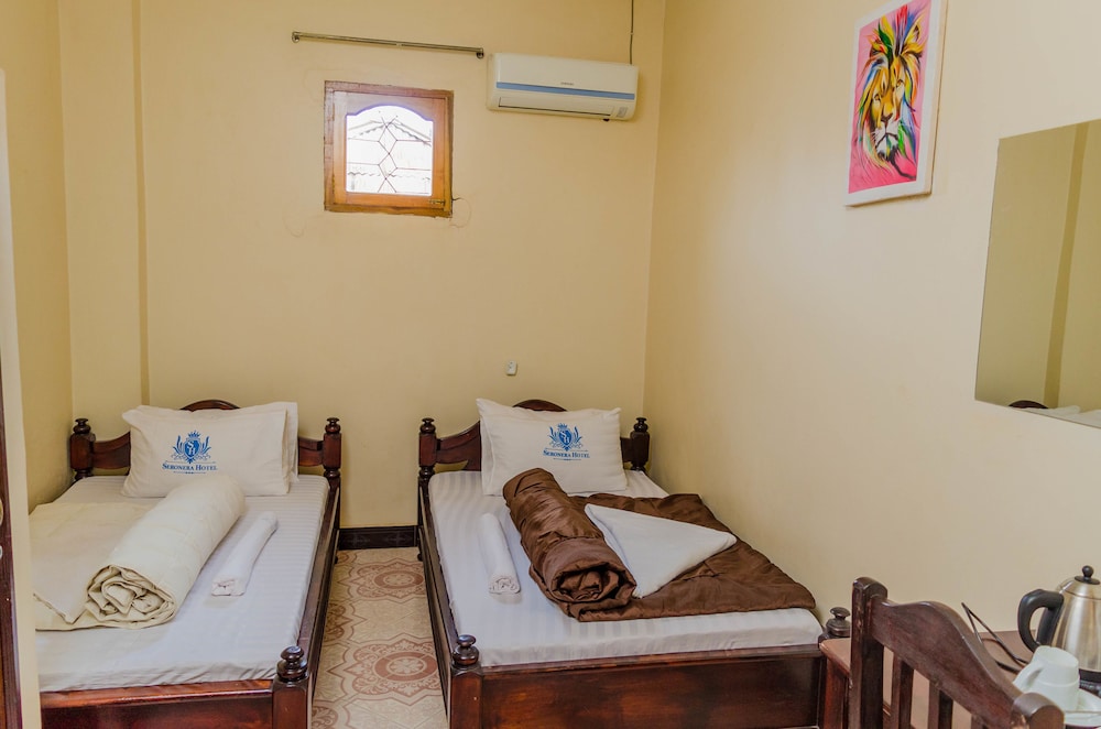 Economy Twin Room
