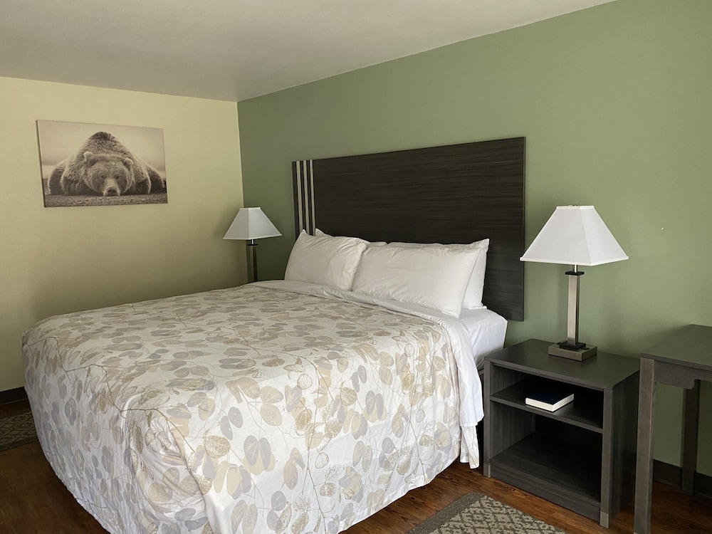 Standard Single Room, 1 King Bed photo 1