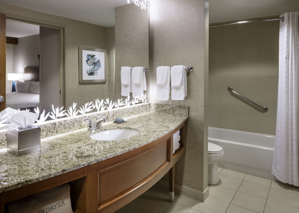 Suite, 1 King Bed, Accessible, Bathtub (Mini Suite, Mobility/Hearing) - Photo 10