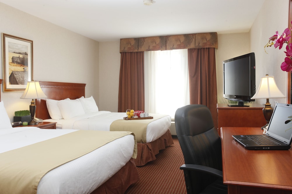 Standard Double Room, 2 Queen Beds photo 2