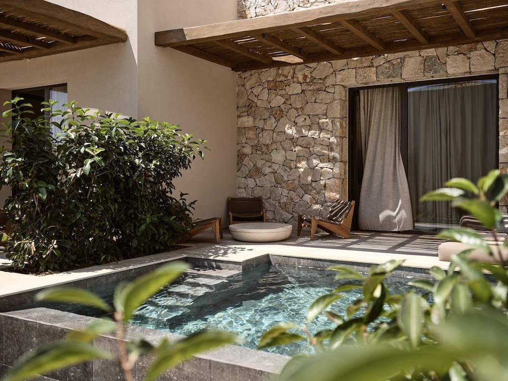 Deluxe Suite with Private Pool and Garden View - Photo 3