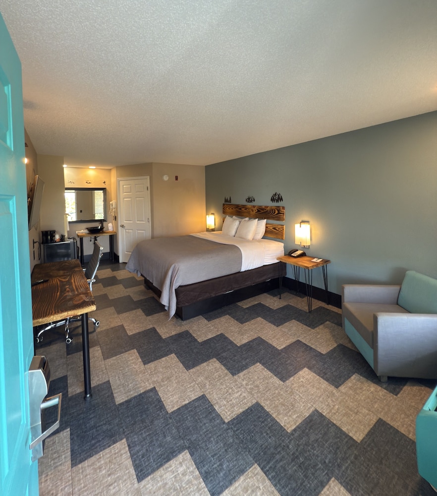 Single Room, 1 King Bed, Non Smoking, Pets Allowed photo 1