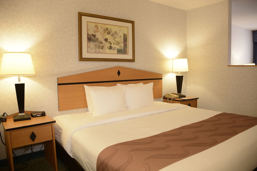 Room, 1 King Bed with Sofa bed photo 2