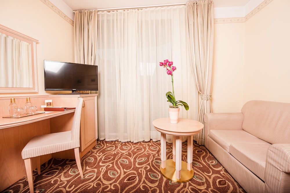 Superior Single Room photo 3