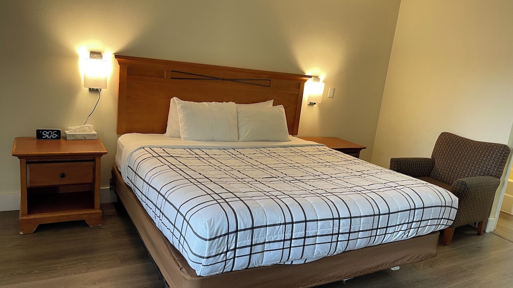 Suite, 1 King Bed photo 2