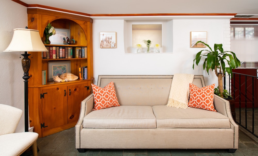 Basement Apartment (Pet Friendly) - Photo 9