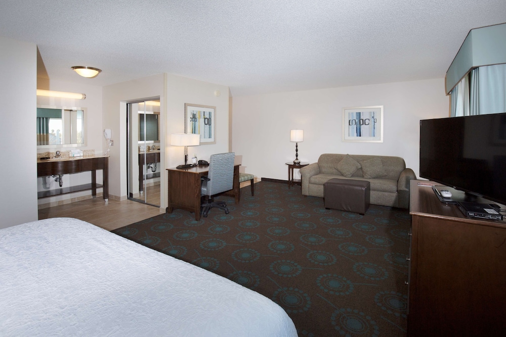 Suite, 1 King Bed, Accessible, Non Smoking - Photo 4