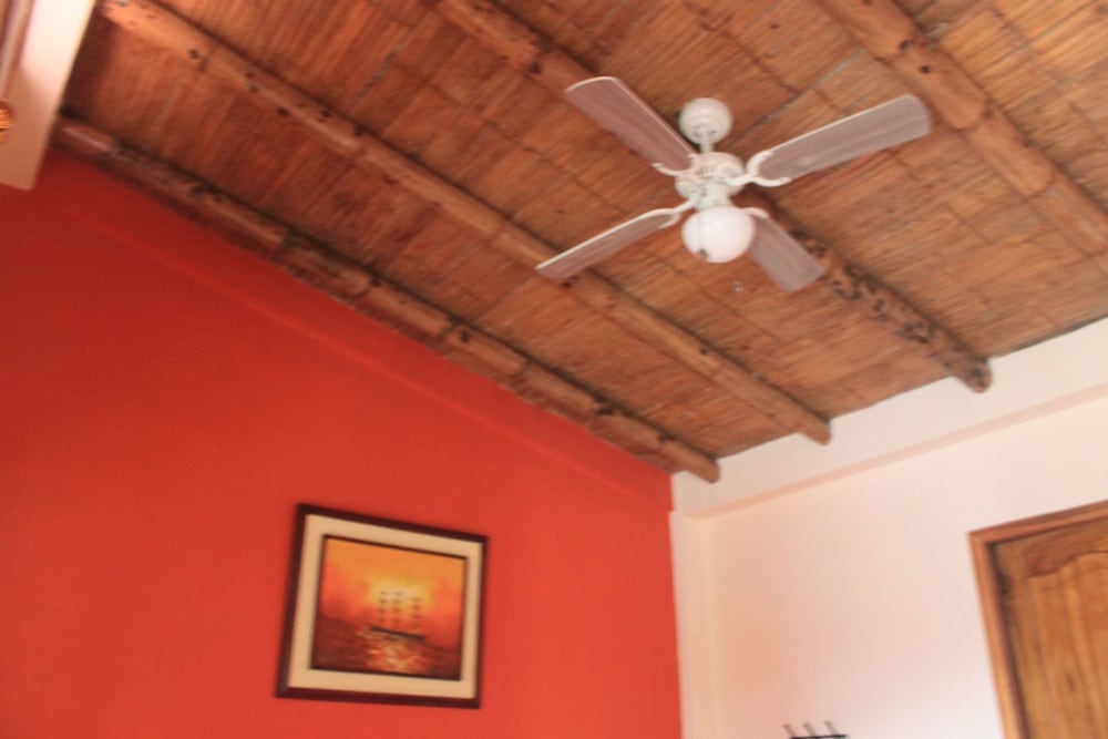 Single Room (Fan) photo 2