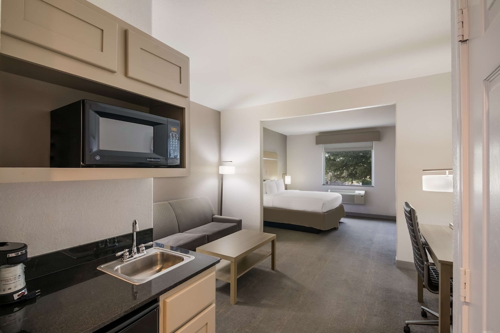 Standard Room, 1 King Bed, Non Smoking, Refrigerator & Microwave (with Sofabed) - Photo 1