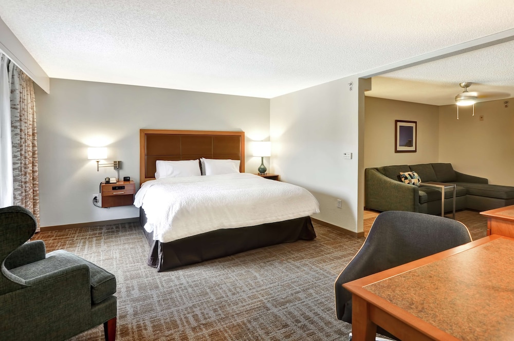 Suite, 1 King Bed, Accessible, Non Smoking (Roll-in Shower) - Photo 3