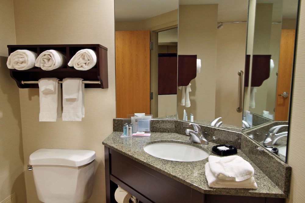 Suite, 1 King Bed, Non Smoking photo 3