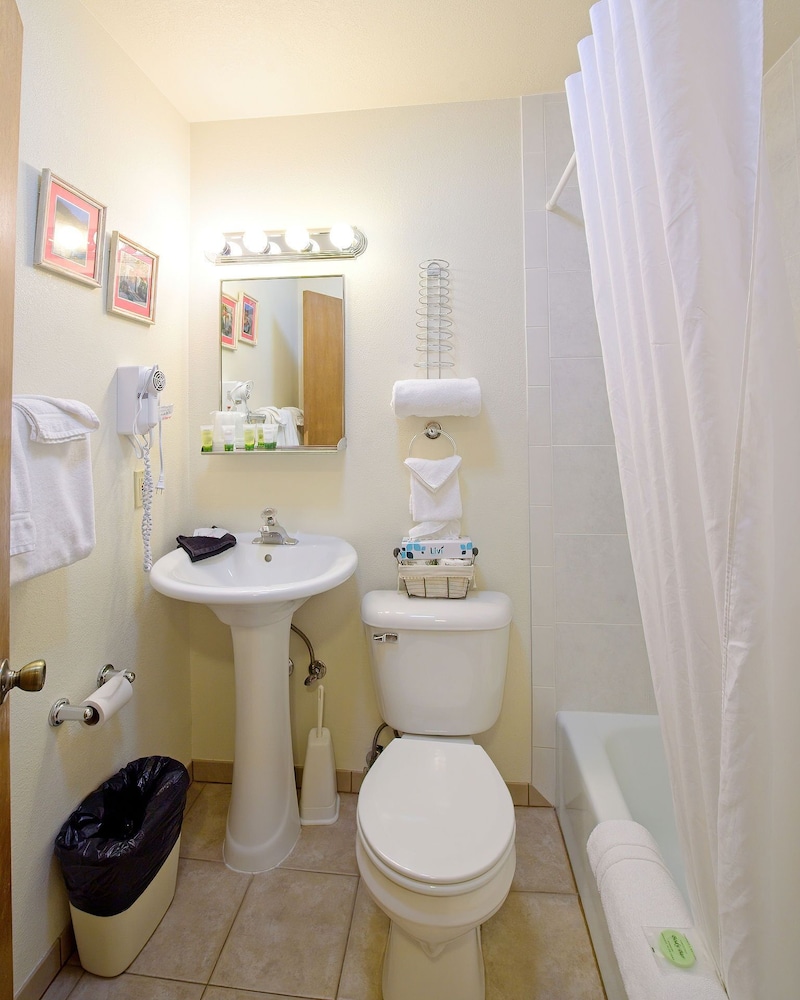 Standard Apartment, 1 Bedroom, Mountain View (503) photo 3