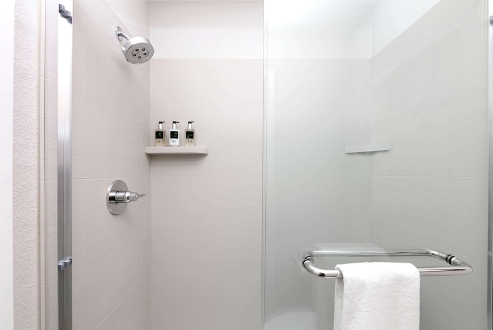 Suite, 1 Bedroom - Photo 7
