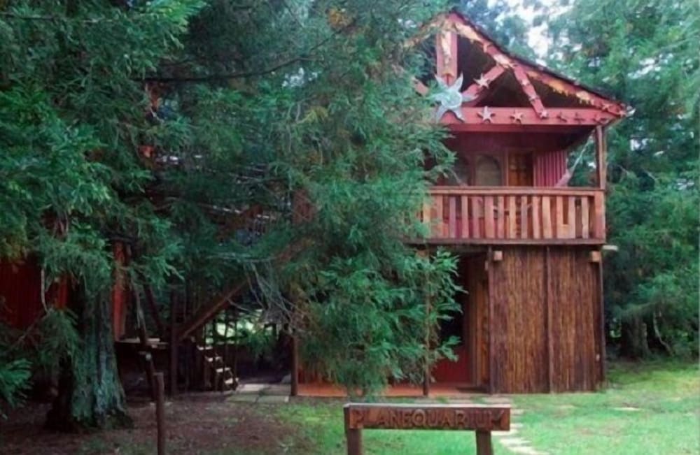 Planequarium Treehouse photo 2