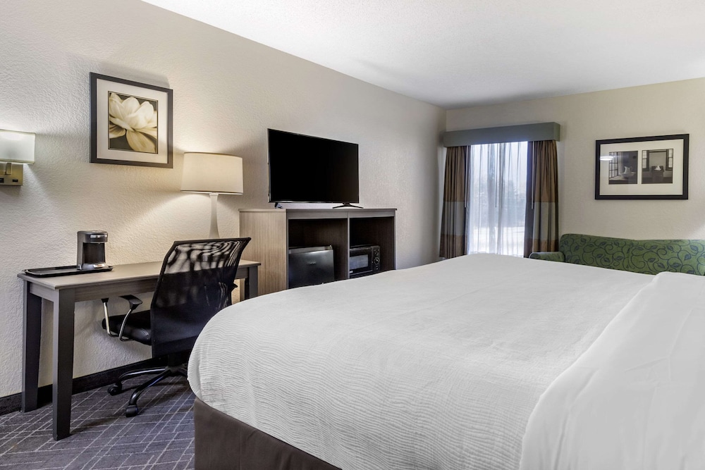 Standard Room, 1 King Bed, Non Smoking - Photo 6