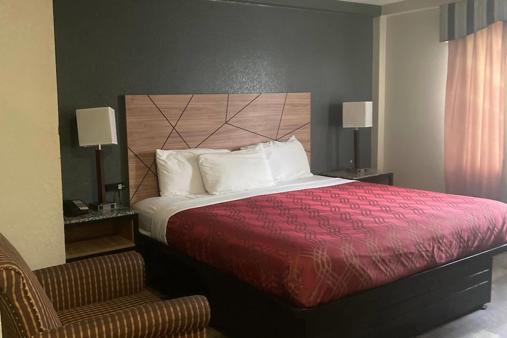 Room, 1 King Bed, Non Smoking photo 1