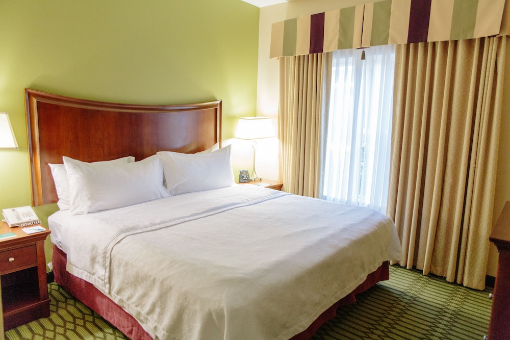 Suite, 1 King Bed, Accessible, Bathtub (Mobility & Hearing) - Photo 1