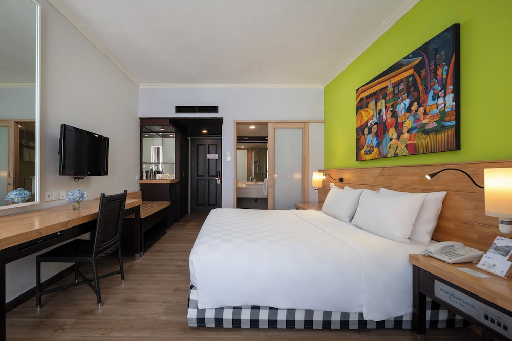 Premier Room - Photo 9