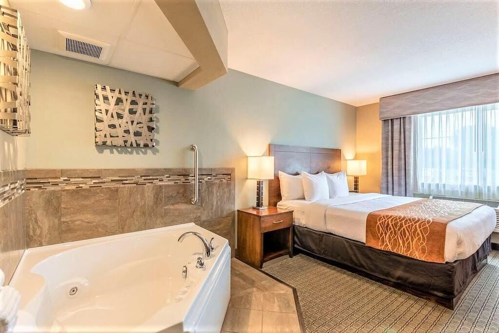 Luxury Single Room photo 1
