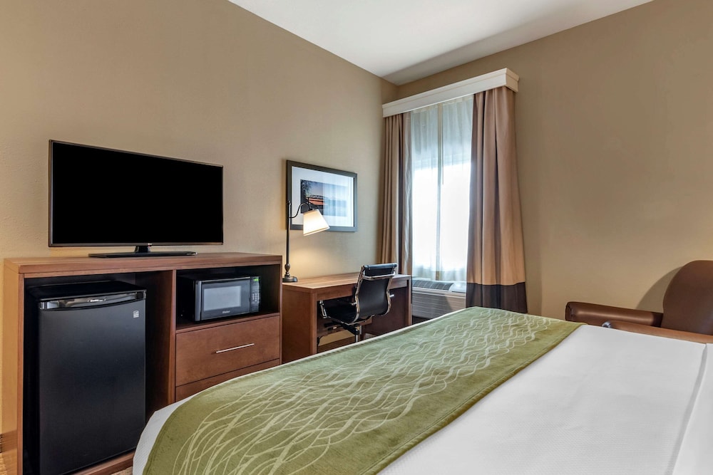 Standard Room, 1 King Bed, Accessible, Non Smoking photo 3