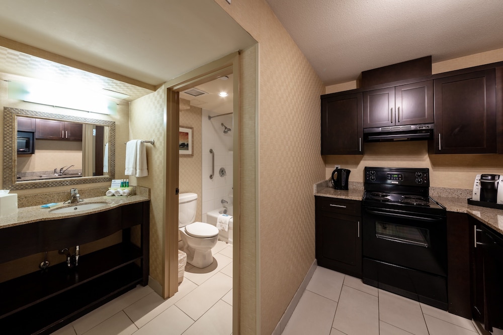 Suite, 1 Bedroom, Kitchen photo 3
