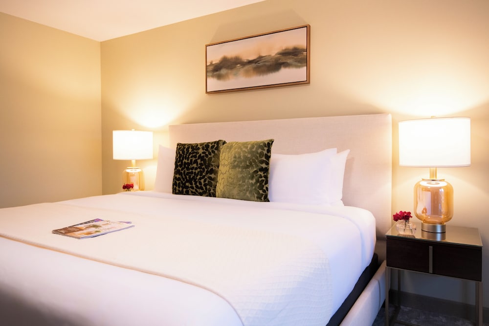 Basic Room, 1 King Bed photo 2