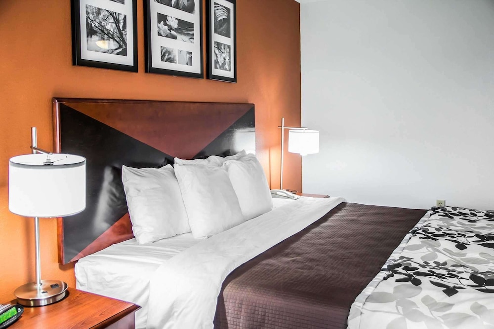 Standard Room, 1 King Bed, Non Smoking - Photo 5