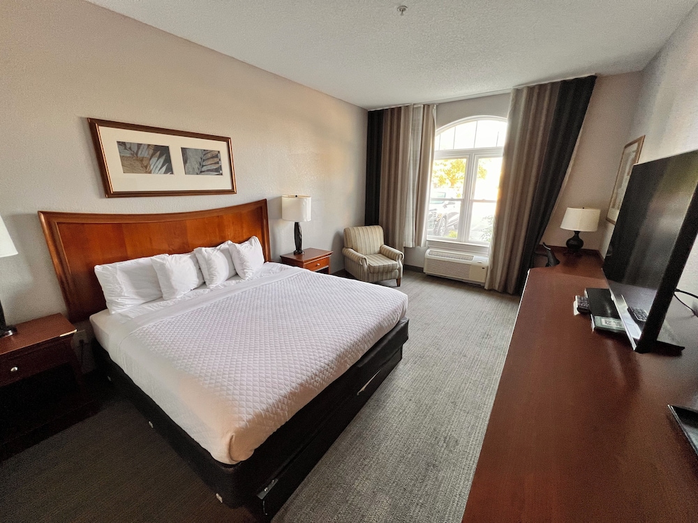 Premium Suite, 1 King Bed, Non Smoking photo 1