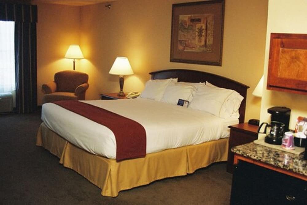 Suite, 1 King Bed - Photo 5