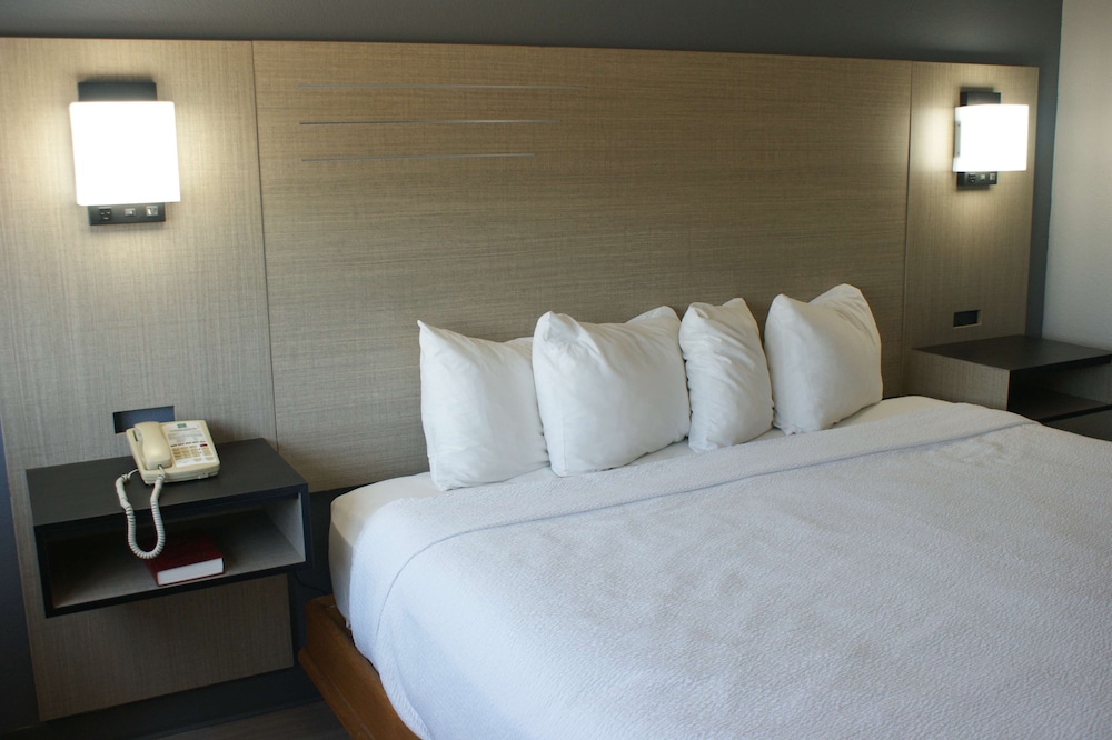 Room, 1 King Bed, Pets Allowed photo 2