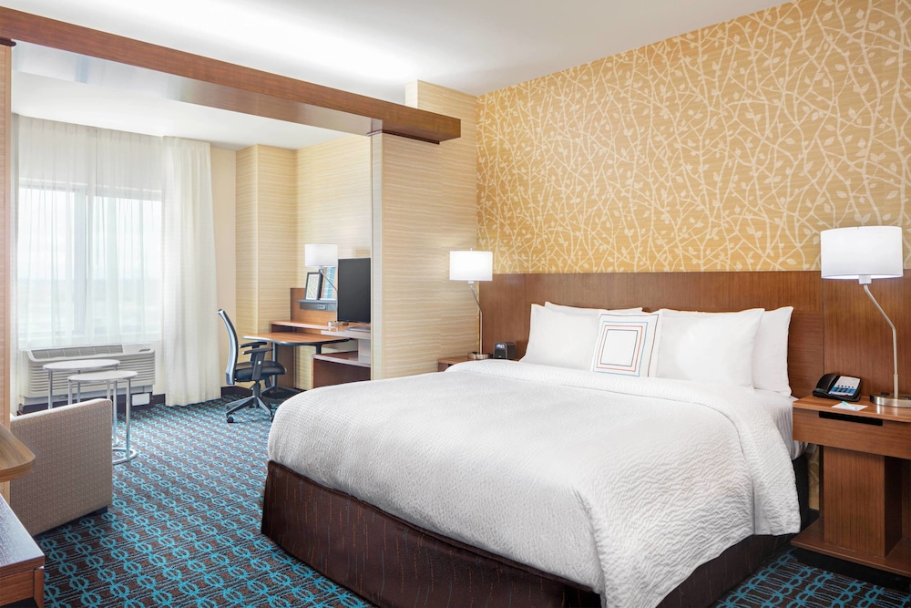 Suite, 1 King Bed with Sofa bed
