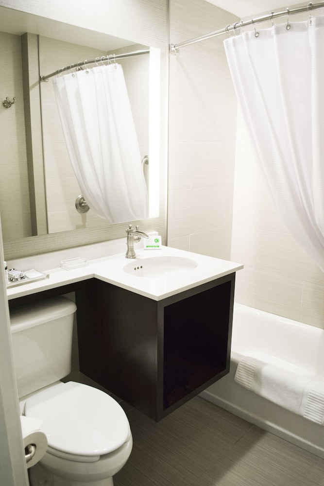 Deluxe Room, 1 King Bed, Accessible, Bathtub - Photo 4