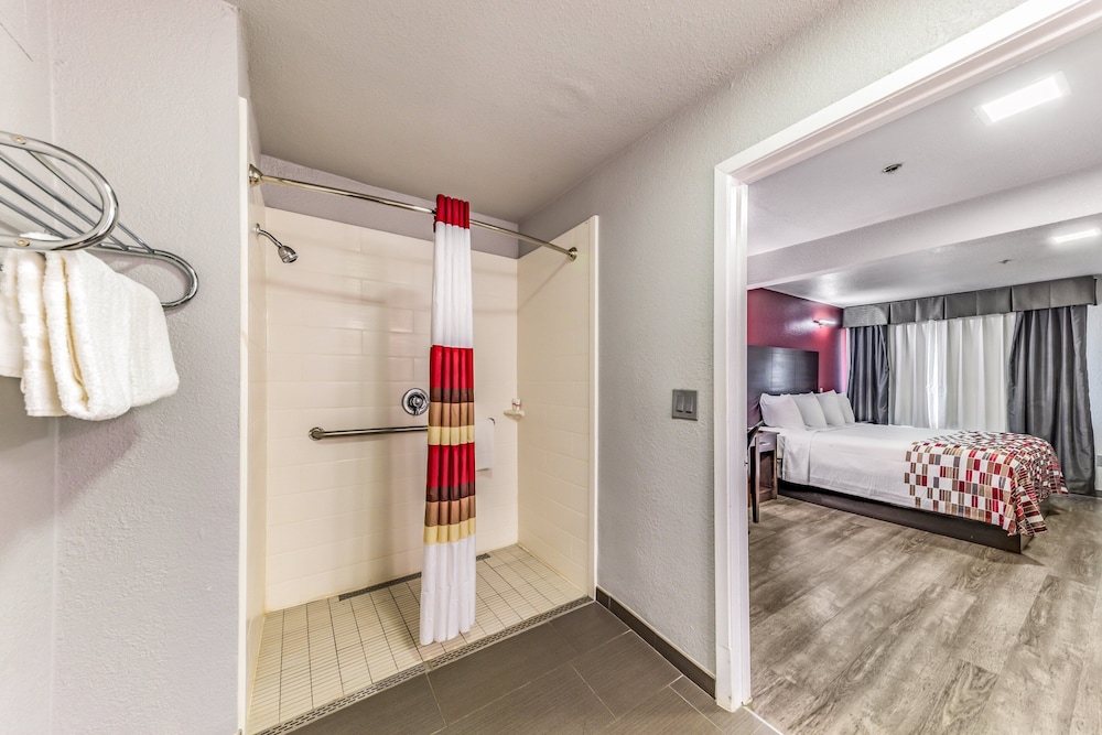Deluxe Room, 1 King Bed, Accessible (Roll-In Shower, Smoke Free) - Photo 6