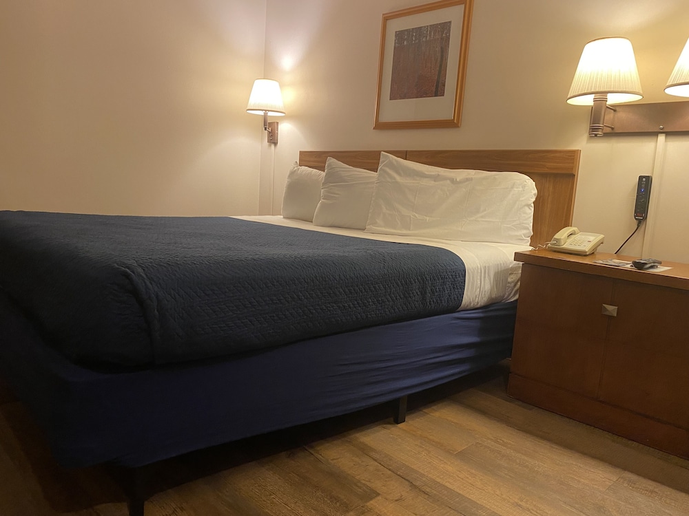 Standard Single Room photo 1