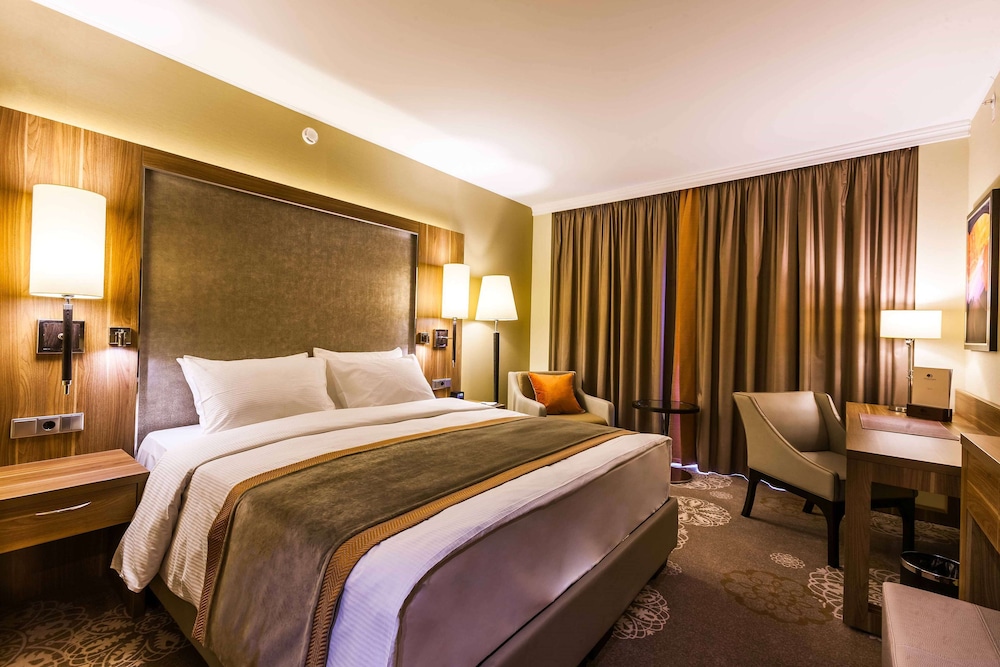 Room, 1 King Bed photo 3