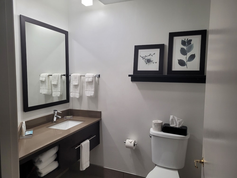 Suite, 1 Bedroom, Non Smoking - Photo 6