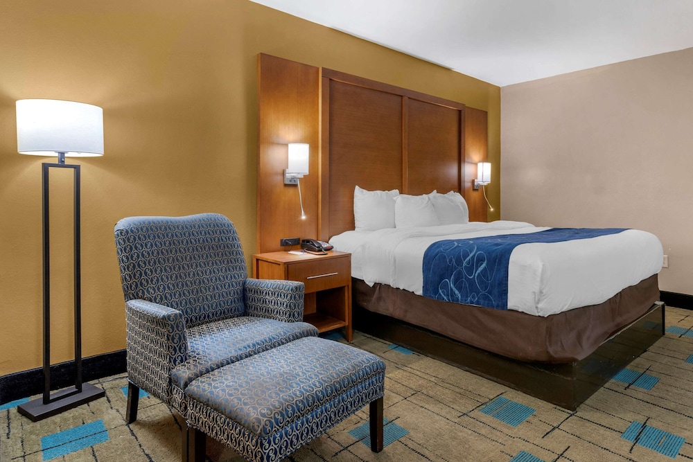 Suite, 1 King Bed with Sofa bed, Non Smoking, Jetted Tub (Upgrade) - Photo 1