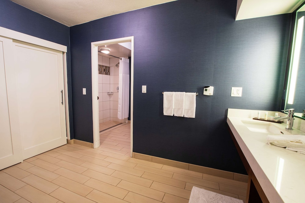 Suite, 1 King Bed, Accessible (Roll-In Shower) - Photo 4