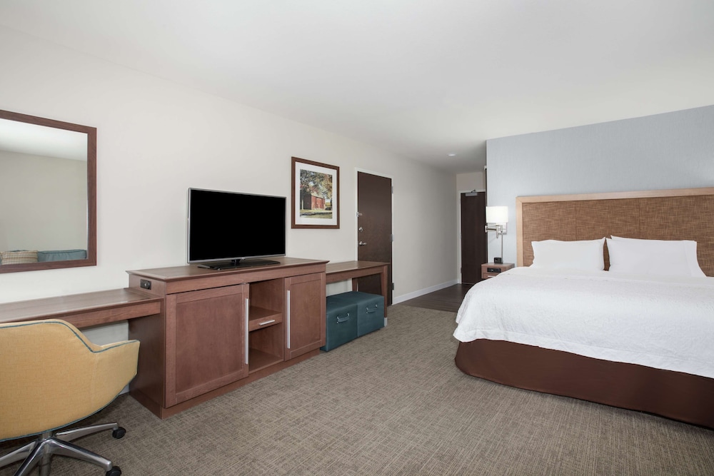 Room, 1 King Bed, Accessible (Walk-In Shower) photo 1