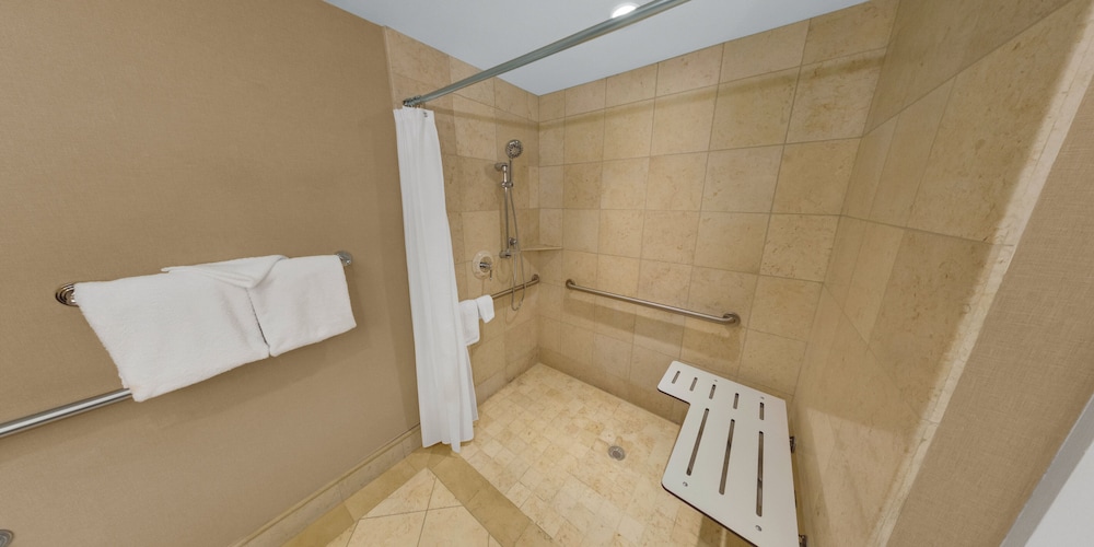 Studio Suite, 1 King Bed, Roll-in Shower (Mobility Accessible) - Photo 5