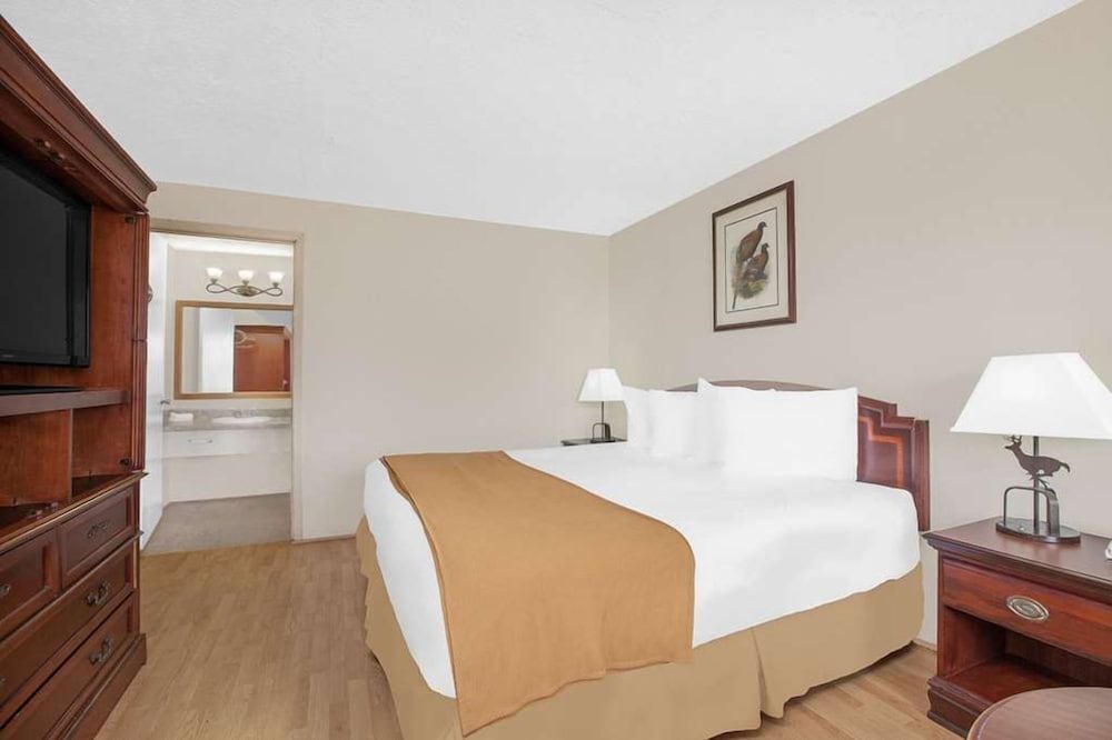 Room, 1 King Bed, Non Smoking photo 1