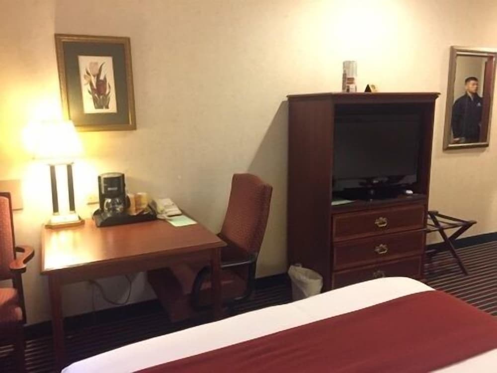 Executive Room, 1 King Bed with Sofa bed photo 1