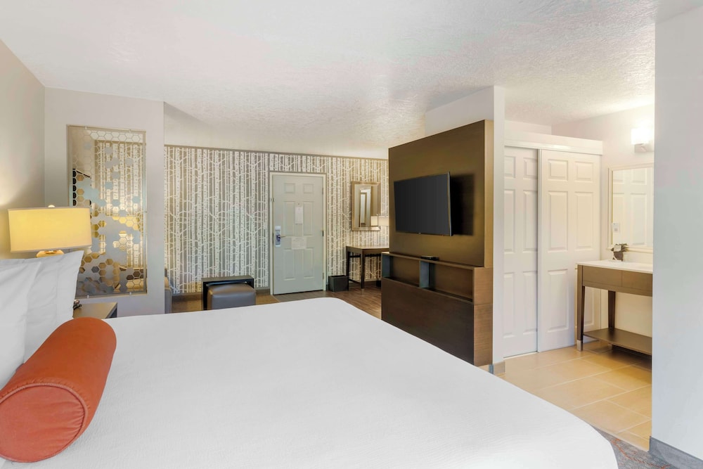 Suite, 1 King Bed, Accessible, Refrigerator & Microwave (with Sofabed) - Photo 3