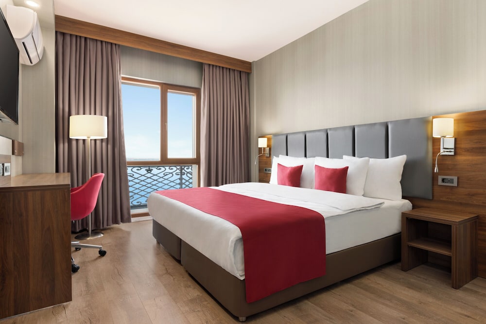 Deluxe Room, 1 King Bed, Mobility Accessible, Non Smoking (Hearing Accessible, Roll-in Shower) photo 2