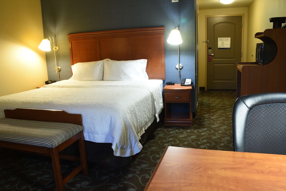 Room, 1 King Bed, Accessible, Non Smoking (Hearing, Shower Only) - Photo 2