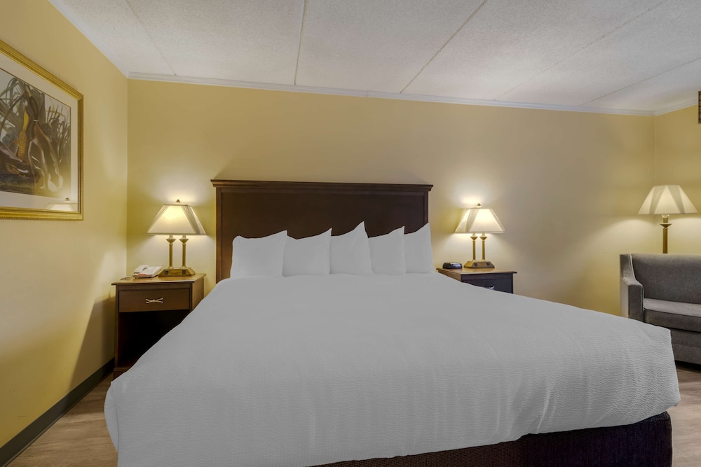 Standard Room, Multiple Beds, Refrigerator, Poolside - Photo 5