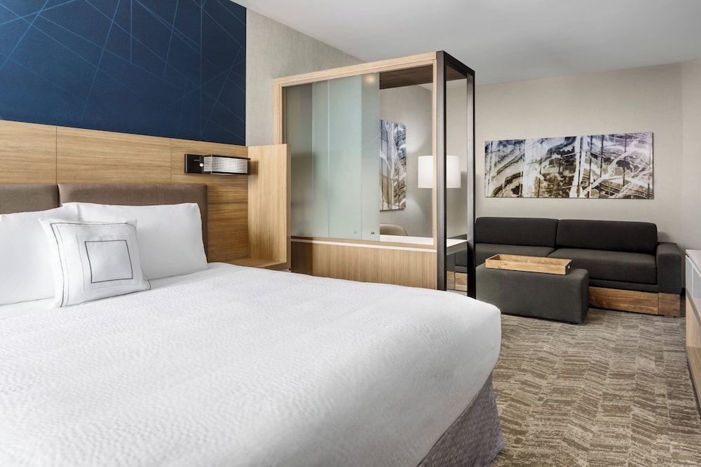 Suite, 1 King Bed (Mobility/Hearing Accessible, Tub) photo 1