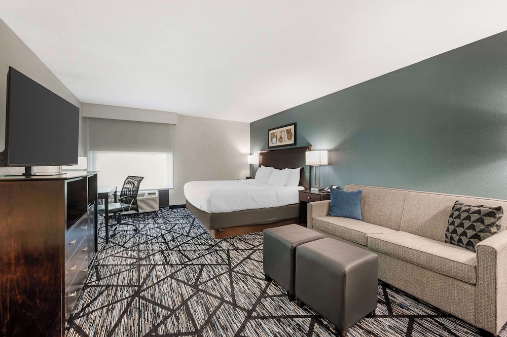 Standard Room, 1 King Bed, Accessible, Non Smoking (Walk-in Shower;with Sofabed) - Photo 2