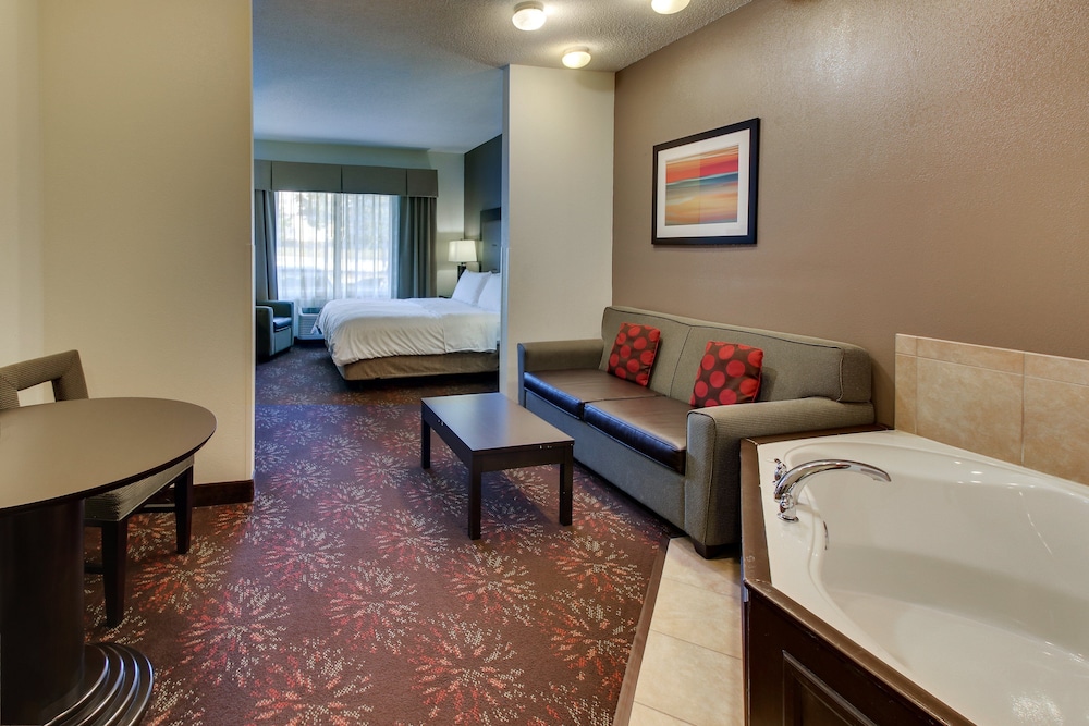 Suite, 1 King Bed - Photo 8